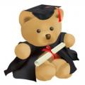 EG102 - Graduation Bear